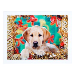 Step Puzzle (98007) - "Puppy" - 300 pezzi