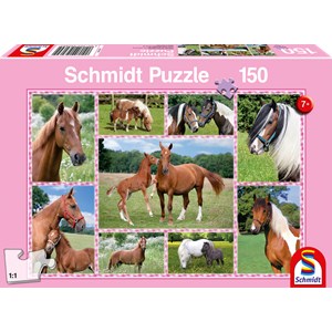 Schmidt Spiele (56269) - "Horse Dreams" - 150 pezzi