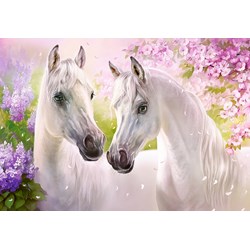 Castorland (C-104147) - "Romantic Horses" - 1000 pezzi