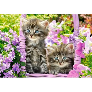 Castorland (C-104086) - "Kitten in Summer Garden" - 1000 pezzi