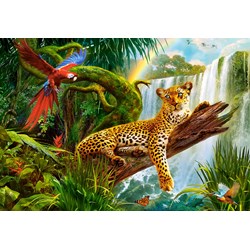 Castorland (C-104093) - "Resting Leopard" - 1000 pezzi