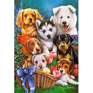 Castorland (C-104048) - "Puppies" - 1000 pezzi