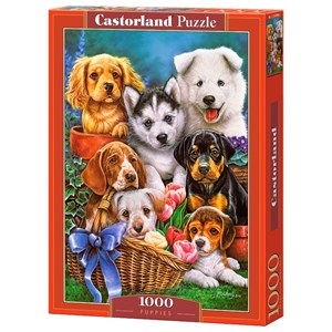 Castorland (C-104048) - "Puppies" - 1000 pezzi