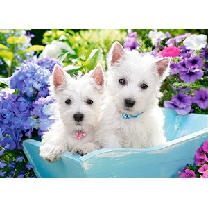 Castorland (B-066100) - "Westie Puppies" - 60 pezzi