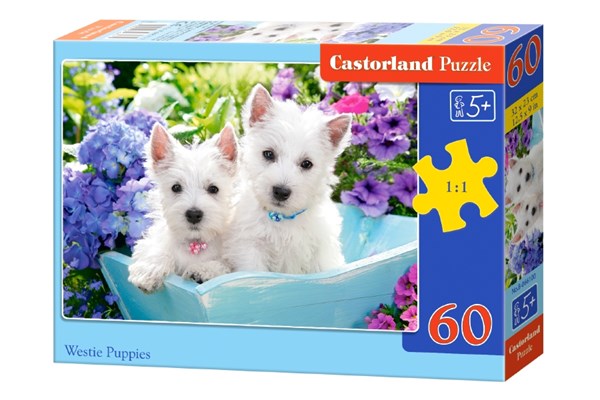 Castorland (B-066100) - "Westie Puppies" - 60 pezzi