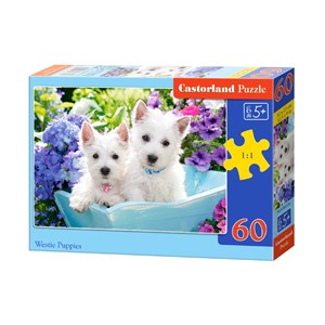 Castorland (B-066100) - "Westie Puppies" - 60 pezzi