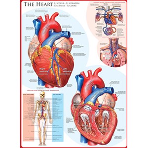 Eurographics (6000-0257) - "The Heart" - 1000 pezzi