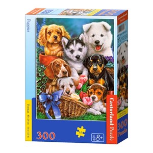 Castorland (B-030323) - "Puppies" - 300 pezzi