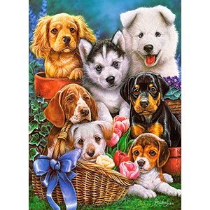 Castorland (B-030323) - "Puppies" - 300 pezzi