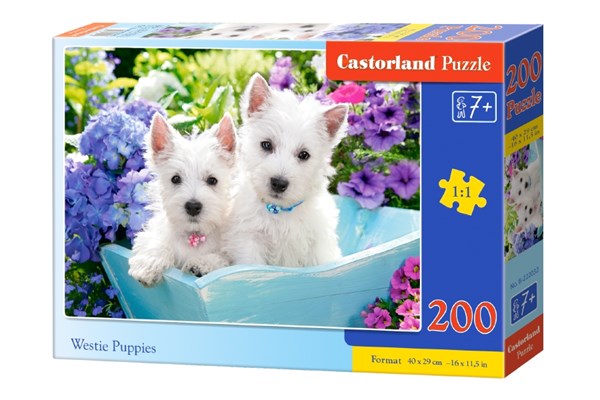Castorland (B-222032) - "Westie Puppies" - 200 pezzi