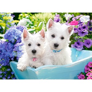 Castorland (B-222032) - "Westie Puppies" - 200 pezzi