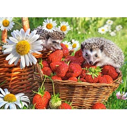 Castorland (B-222025) - "Strawberry Dessert" - 200 pezzi