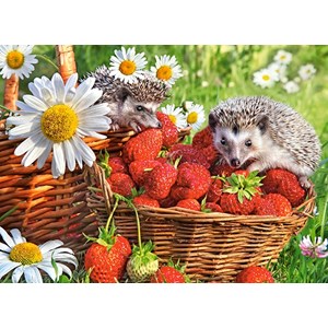 Castorland (B-222025) - "Strawberry Dessert" - 200 pezzi