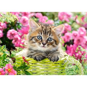 Castorland (B-111039) - "Kitten in Flower Garden" - 100 pezzi
