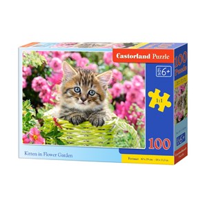 Castorland (B-111039) - "Kitten in Flower Garden" - 100 pezzi