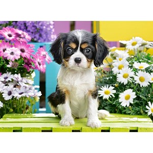 Castorland (B-070053) - "Spaniel Puppy in Flowers" - 70 pezzi