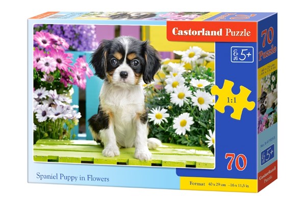 Castorland (B-070053) - "Spaniel Puppy in Flowers" - 70 pezzi
