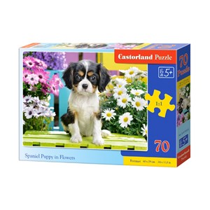 Castorland (B-070053) - "Spaniel Puppy in Flowers" - 70 pezzi