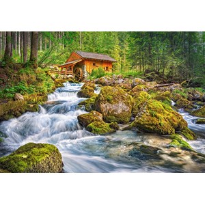 Castorland (C-151783) - "Watermill" - 1500 pezzi