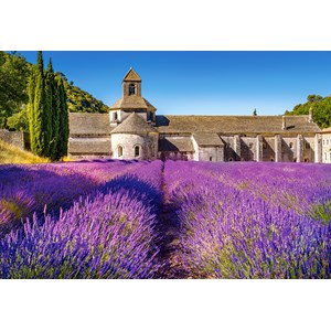 Castorland (C-104284) - "Lavender Field in Provence, France" - 1000 pezzi