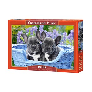 Castorland (C-104246) - "French Bulldog Puppies" - 1000 pezzi