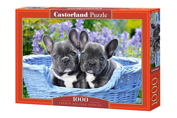 Castorland (C-104246) - "French Bulldog Puppies" - 1000 pezzi