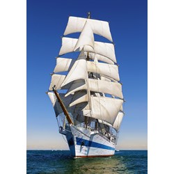 Castorland (C-104239) - "Under Full Sail" - 1000 pezzi