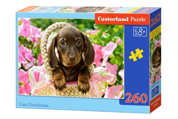 Castorland (B-27514) - "Cute Dachshund" - 260 pezzi