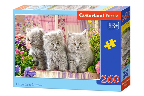 Castorland (B-27491) - "Three Grey Kittens" - 260 pezzi