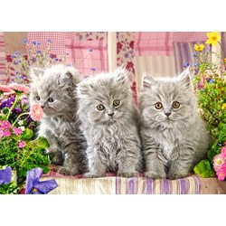 Castorland (B-27491) - "Three Grey Kittens" - 260 pezzi