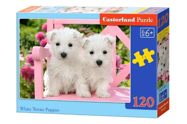 Castorland (B-13494) - "White Terrier Puppies" - 120 pezzi