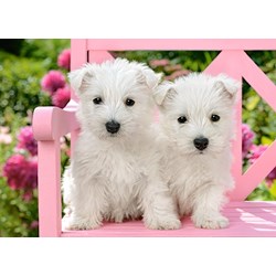 Castorland (B-13494) - "White Terrier Puppies" - 120 pezzi