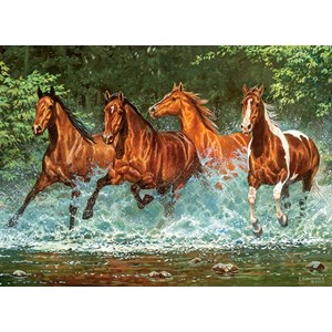 Castorland (B-030361) - "Cascade Run" - 300 pezzi