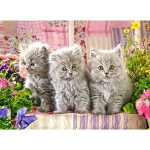 Castorland (B-030330) - "Three Grey Kittens" - 300 pezzi