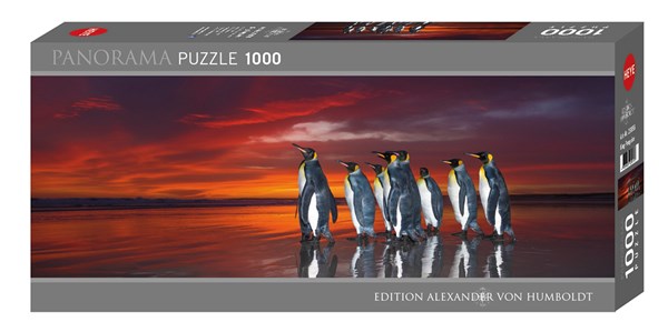 Heye (29858) - Wim van den Heever: "King Penguins" - 1000 pezzi