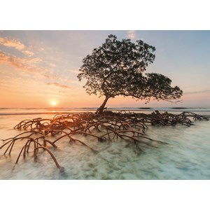 Heye (29856) - "Red Mangrove" - 1000 pezzi