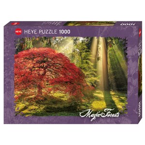 Heye (29855) - Aaron Reed: "Guiding Light" - 1000 pezzi