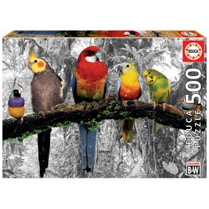Educa (17984) - "Birds on the jungle" - 500 pezzi