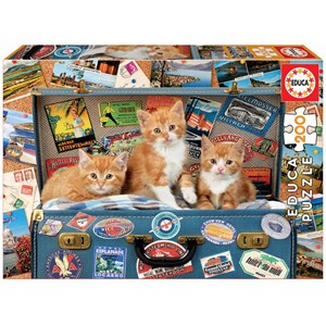 Educa (18065) - "Travelling kittens" - 200 pezzi