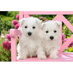 Castorland (C-151721) - "White Terrier Puppies" - 1500 pezzi