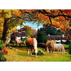 Ravensburger (14081) - "Picturesque Hampshire" - 500 pezzi