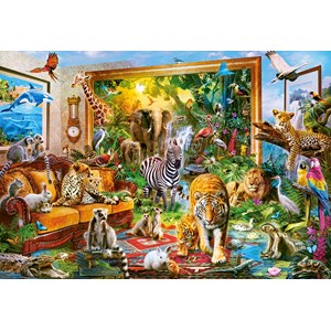 Castorland (C-104321) - "Coming To Room" - 1000 pezzi
