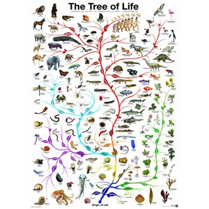 Eurographics (6000-0282) - "The Tree of Life" - 1000 pezzi