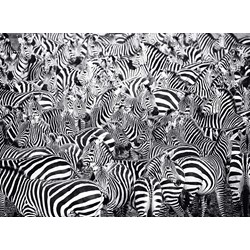 Ravensburger (14807) - "Zebra" - 500 pezzi