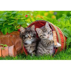 Ravensburger (07626) - "Kittens" - 12 pezzi
