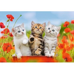 Ravensburger (07626) - "Kittens" - 12 pezzi