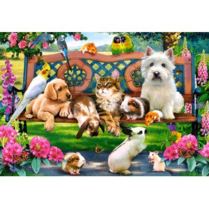 Castorland (C-104406) - "Pets in the Park" - 1000 pezzi