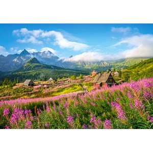 Castorland (C-104512) - "Hala Gasienicowa, Tatras, Poland" - 1000 pezzi