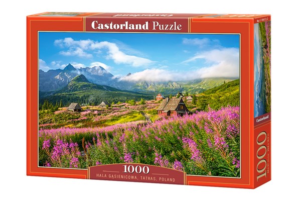 Castorland (C-104512) - "Hala Gasienicowa, Tatras, Poland" - 1000 pezzi