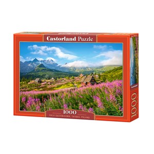 Castorland (C-104512) - "Hala Gasienicowa, Tatras, Poland" - 1000 pezzi